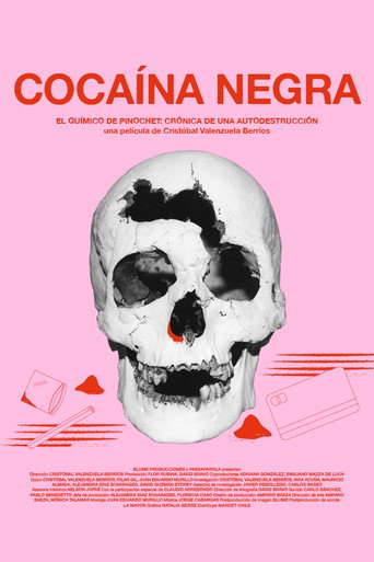 Cocaína negra — Pôsteres 2
