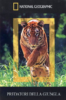 National Geographic - Predatori Della Giungla poster