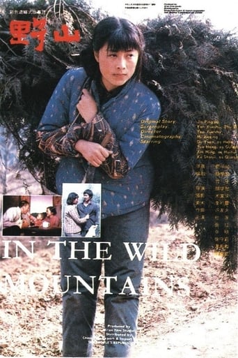 Poster of In the Wild Mountains