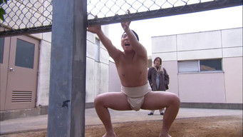 Episode 17 — Episode 17