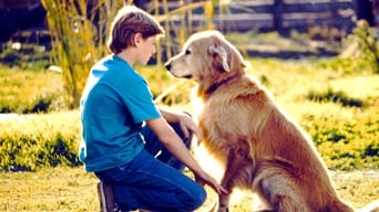 Still 8 from Homeward Bound: The Incredible Journey