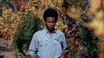 #8 The Learning Tree