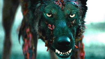 Galeria 3 - Cabin Fever