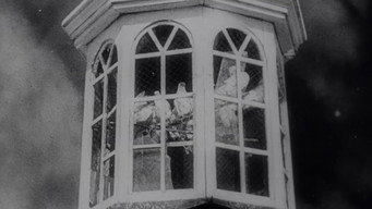#16 Bezhin Meadow: Sequences from an Unfinished Film