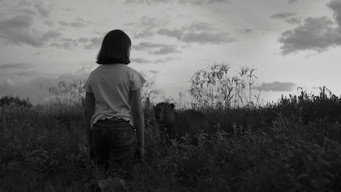The Message (2025)