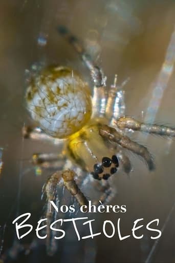 Nos chères bestioles en streaming 