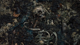 Episode 7 — Episode 7