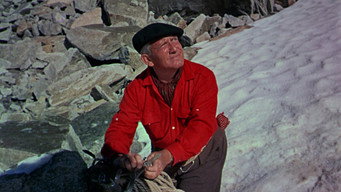 #11 The Mountain