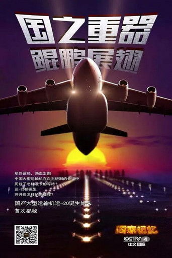 大国鲲鹏 poster