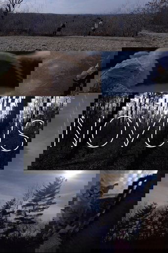 Novus (2018)