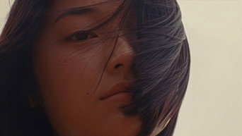 Zi media image