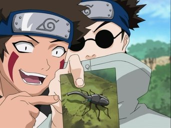 Cena de Qual a Diferença? Todos os Insetos Não São Parecidos?