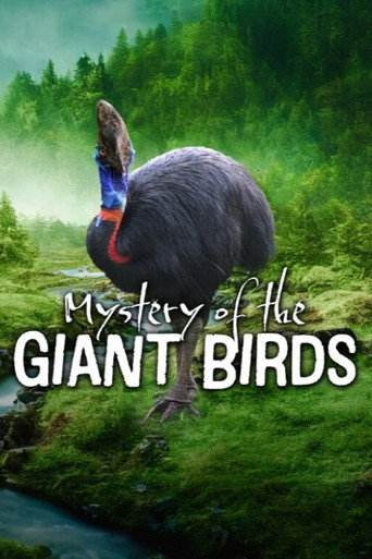 Mystery of the Giant Birds (2025)