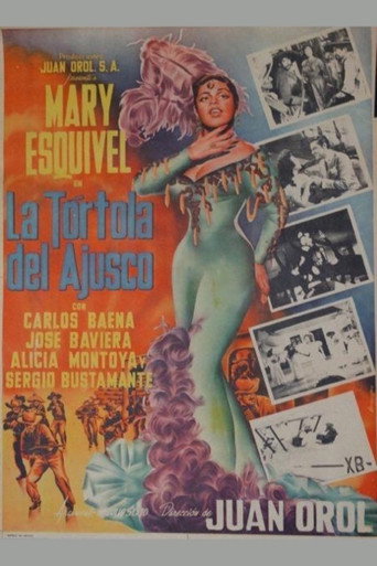 La tórtola del Ajusco
