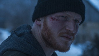 Бізони (2024)