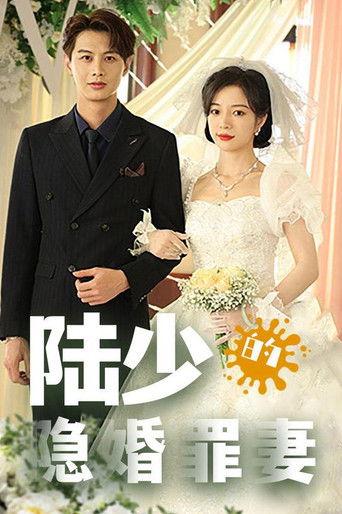 陆少的隐婚罪妻 poster