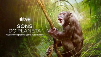 Cena de Sons do Planeta