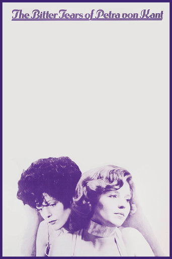The Bitter Tears of Petra von Kant poster 5