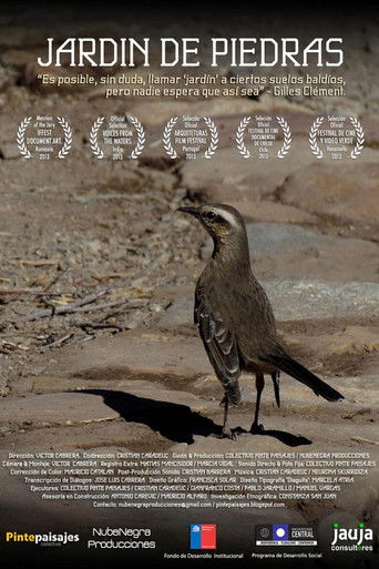 Jardin De Piedras poster