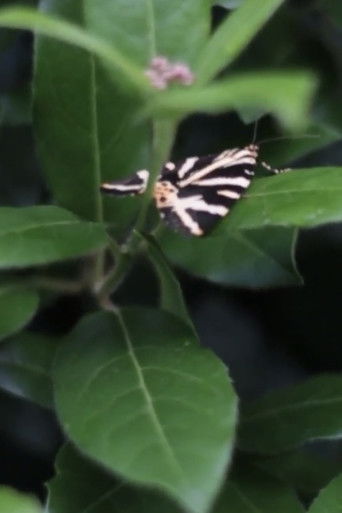 today, it’s raining poster