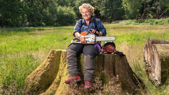 Sandi's Wood (2024- )