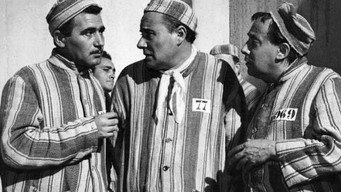 It Happened in the Penitentiary (1955)