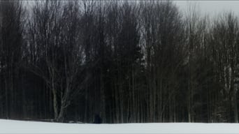 Galeria 2 - The Harbinger