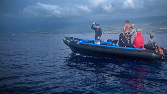#9 Sharkcano: Hawaii