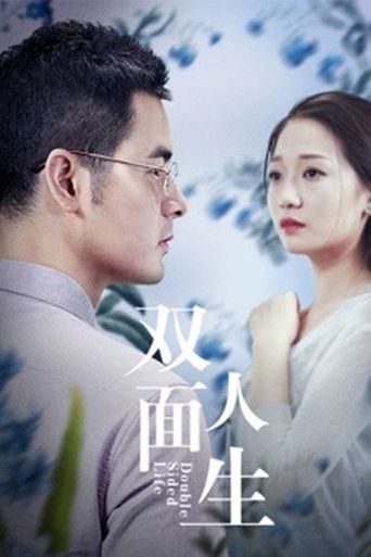 双面人生 poster