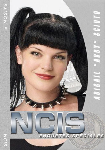 NCIS : Enquêtes Spéciales - S8 - Poster