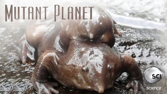 Mutant Planet (2010-2014)