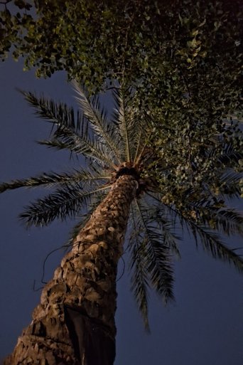 Poster for Under The Palm Branch