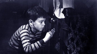 #11 The Window