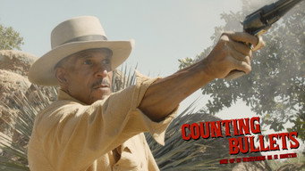 Counting Bullets (2021)