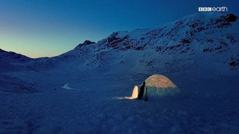 The Last Igloo (2019)