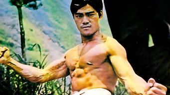 The Way of the Tiger (1973)