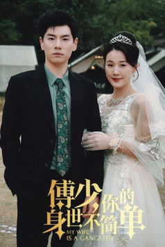 傅少，你的身世不简单 poster