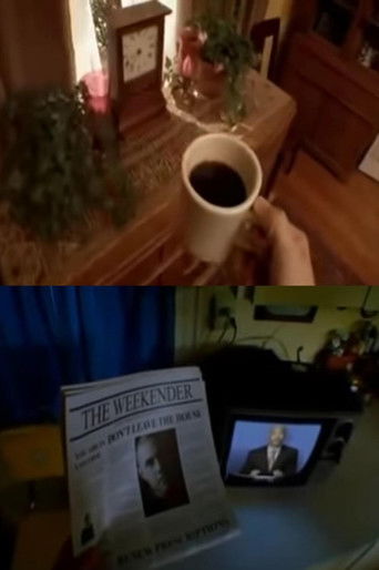 Simulation of Paranoid Schizophrenia poster