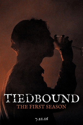 Official poster for Season 1
