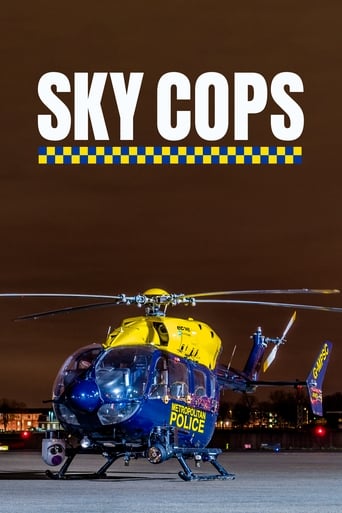 Poster of Sky Cops