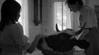 Galeria 4 - The Eyes of My Mother