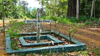 They Killed Sister Dorothy (2008)