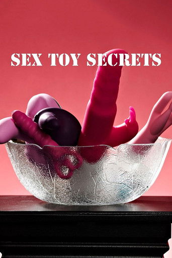 Sex Toy Secrets poster