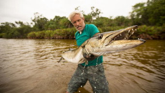 Fishing for Giants (2018)