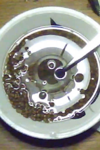 irrationality poster