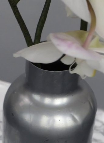 The Nature of Human poster