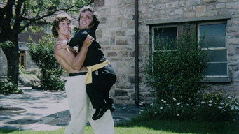 #20 Karate Killer