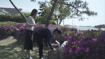 #6 My Uncle's Wife