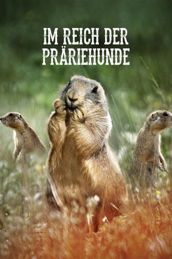 Prairie Dog Manor — Posters 8