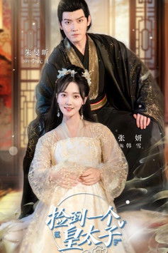 捡到一个皇太子 poster